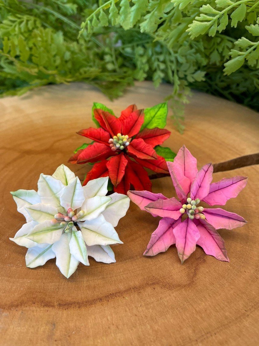 Cortador Poinsettia ( Flor de Natal) - Imagem 2