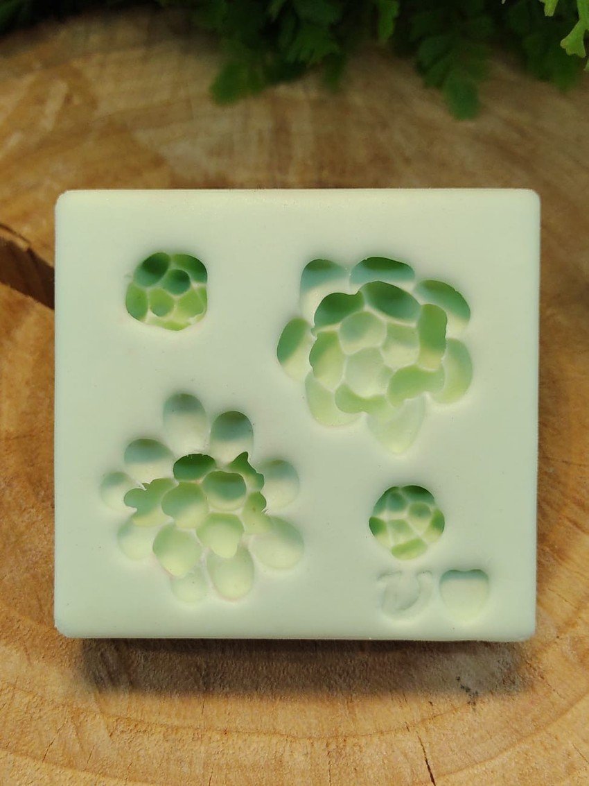 Molde de Silicone Suculentas - Imagem 2