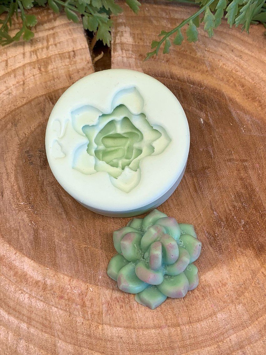 Molde Suculenta Echeveria - Imagem 2