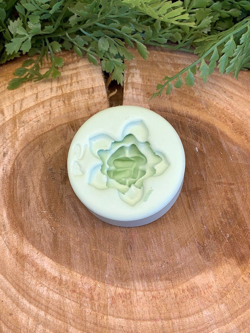 Molde Suculenta Echeveria - Imagem 3