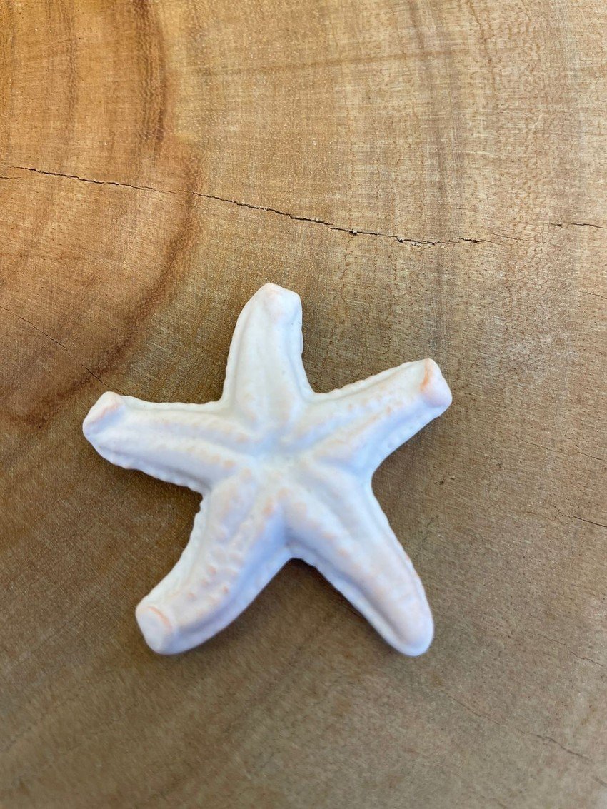 Molde Estrela do Mar G - Imagem 3