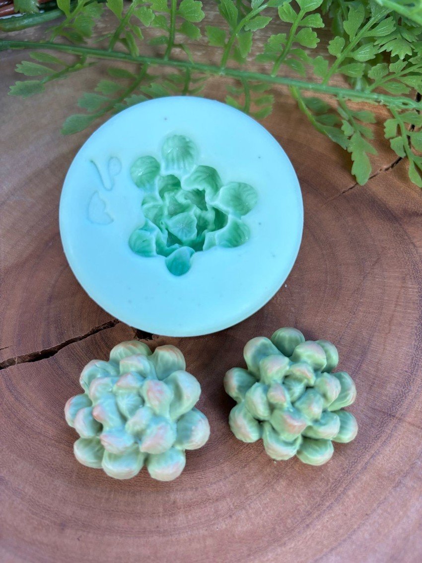 Molde de Suculenta 4 -3D - Imagem 2