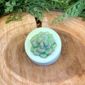 Molde Suculenta Echeveria