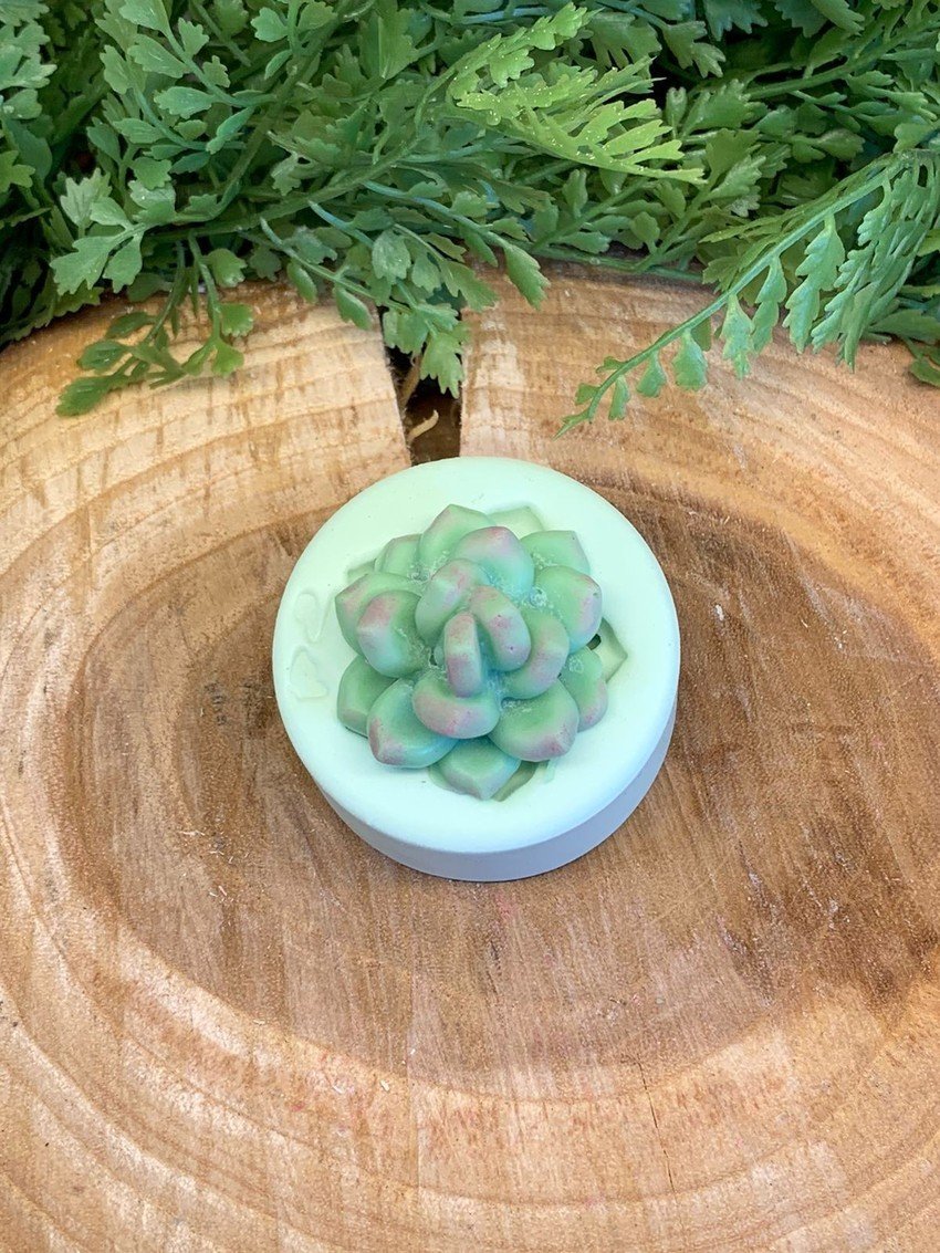 Molde Suculenta Echeveria