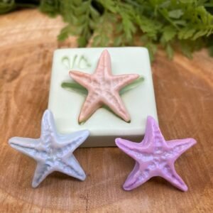 Molde de silicone Estrela do mar