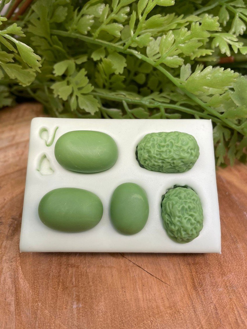 Molde de silicone Base miolos