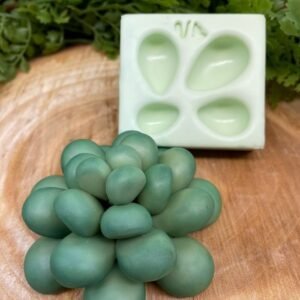 Molde de silicone Suculenta G 4