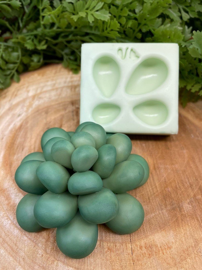Molde de silicone Suculenta G 4
