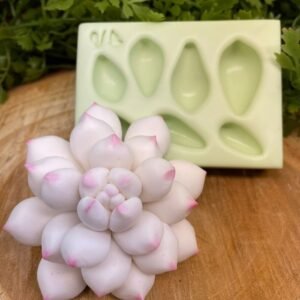 Molde de silicone Suculenta G 5