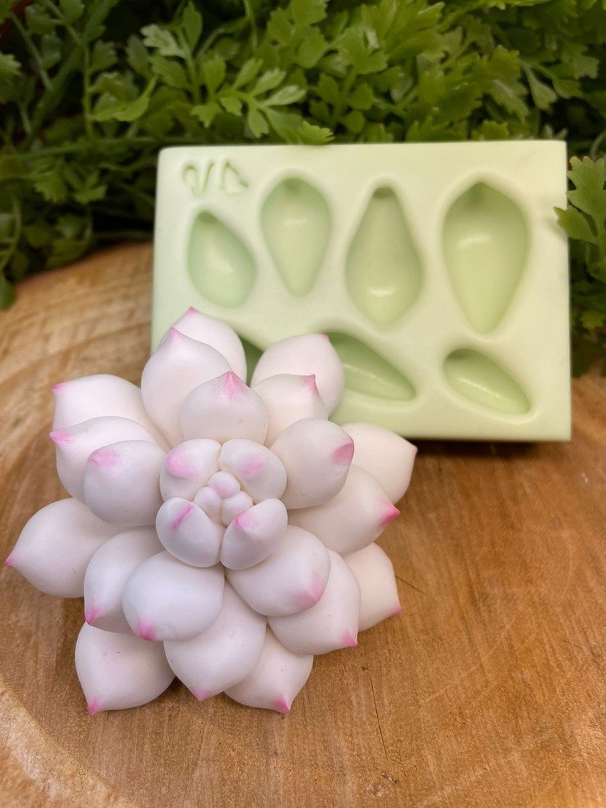 Molde de silicone Suculenta G 5