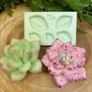 Molde de silicone Suculenta G6