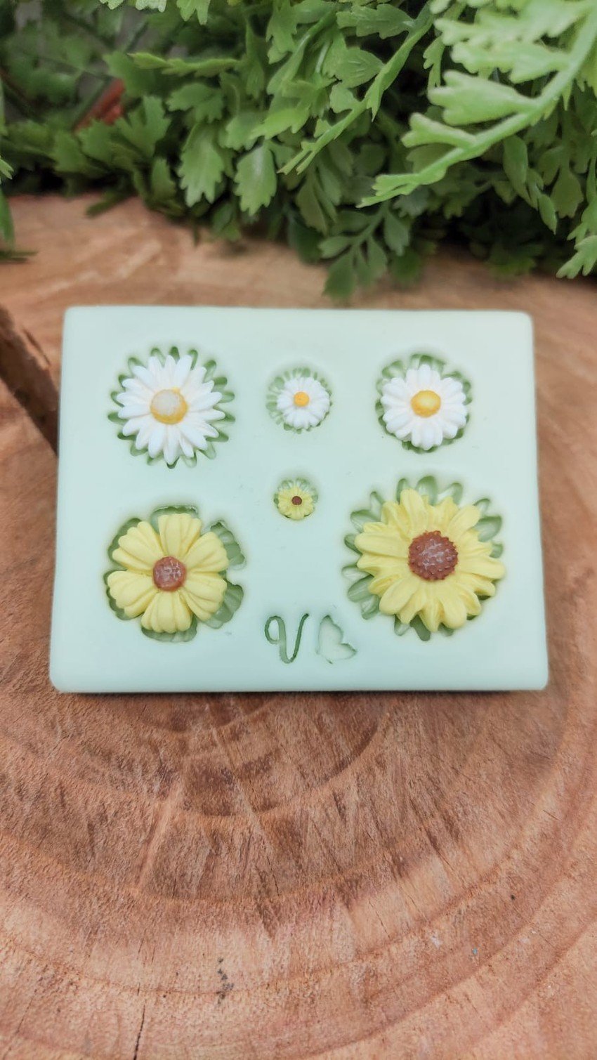 Molde de silicone Margaridas