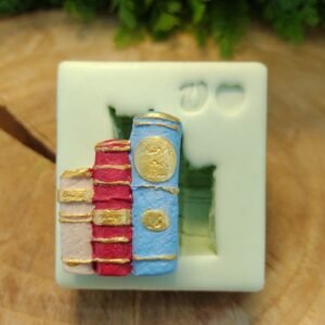 Molde de Silicone Livros