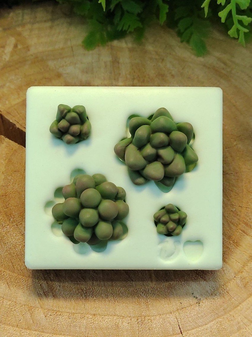 Molde de Silicone Suculentas