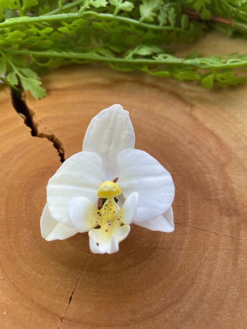 Cortador Orquídea PP