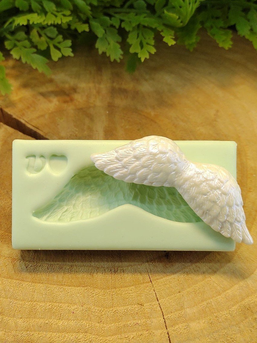 Molde de Silicone Asa PP