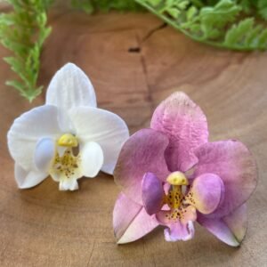 Cortador Orquídea P