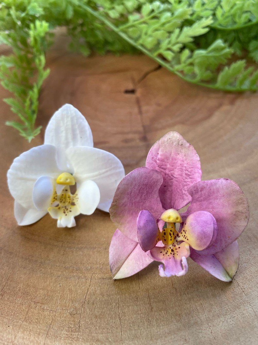 Cortador Orquídea P