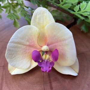 Cortador Orquídea M