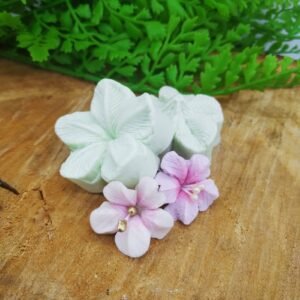 MOLDE FLOR 3D