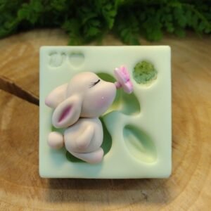 Molde de Silicone Coelho Fofoleti