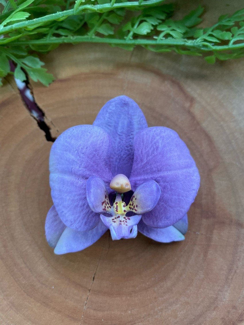 Cortador Orquídea M - Imagem 2