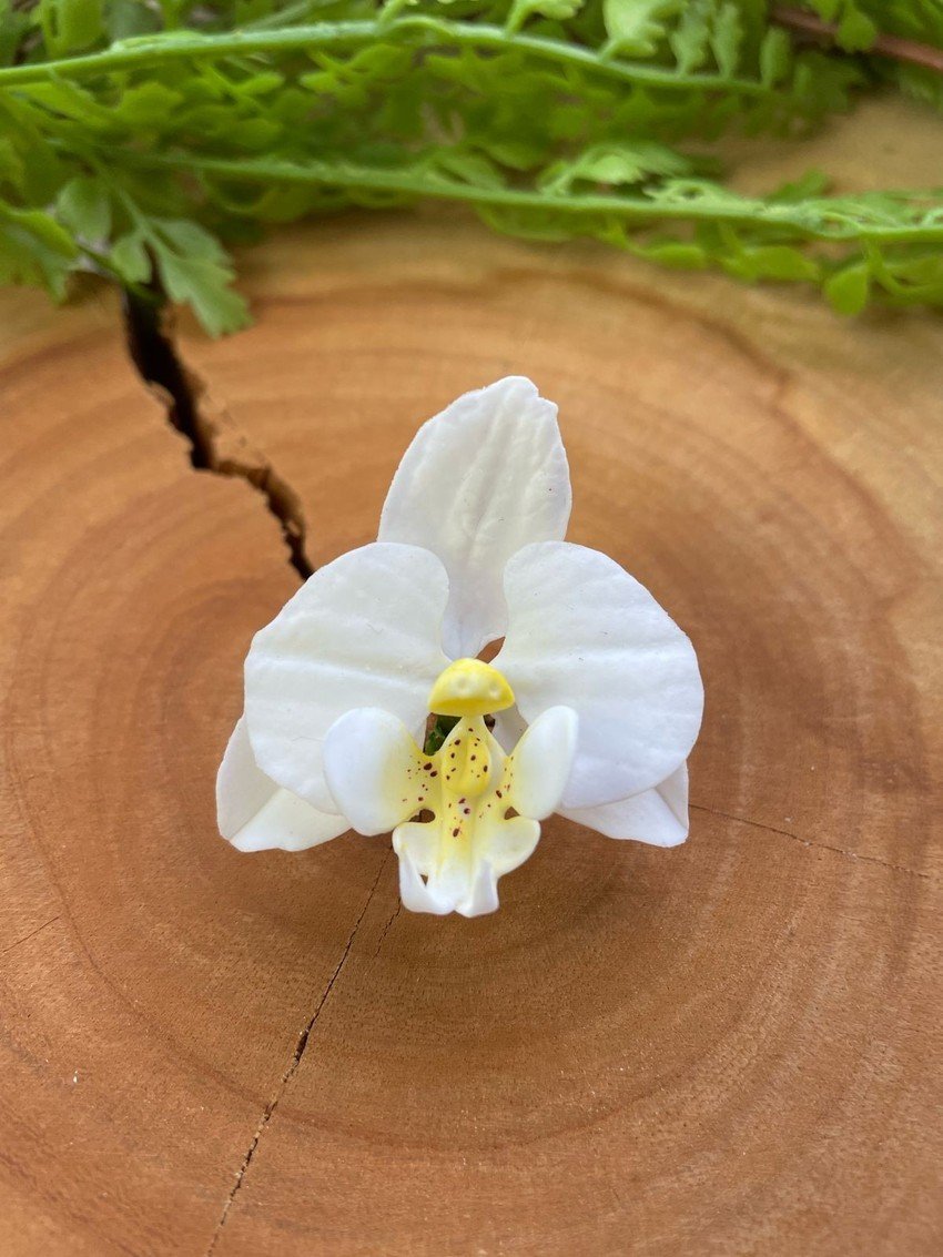Cortador Orquídea PP - Imagem 2